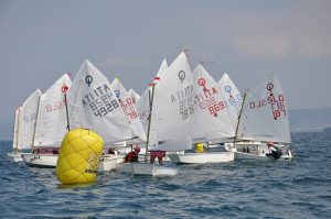 opti_cup